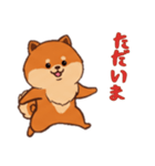 ポメラニアンと一緒の日常2（個別スタンプ：1）