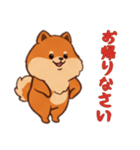ポメラニアンと一緒の日常2（個別スタンプ：2）
