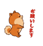 ポメラニアンと一緒の日常2（個別スタンプ：4）