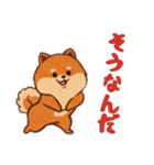 ポメラニアンと一緒の日常2（個別スタンプ：8）