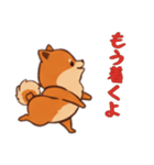 ポメラニアンと一緒の日常2（個別スタンプ：12）