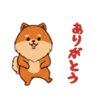 ポメラニアンと一緒の日常2（個別スタンプ：14）