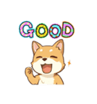 いろんな犬たちのスタンプ（個別スタンプ：1）