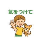 チワワと仲良しの日常会話スタンプ（個別スタンプ：34）