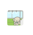 ふたりはなかよしスタンプ3(ちゃいぬくん)（個別スタンプ：13）
