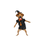 [アレンジ用]ハロウィンコスプレの犬5（個別スタンプ：3）