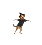 [アレンジ用]ハロウィンコスプレの犬5（個別スタンプ：11）