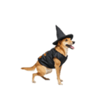 [アレンジ用]ハロウィンコスプレの犬5（個別スタンプ：12）