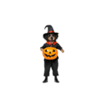 [アレンジ用]ハロウィンコスプレの犬5（個別スタンプ：13）
