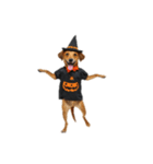 [アレンジ用]ハロウィンコスプレの犬4（個別スタンプ：1）