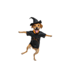 [アレンジ用]ハロウィンコスプレの犬4（個別スタンプ：2）