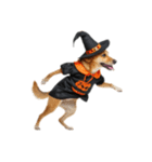 [アレンジ用]ハロウィンコスプレの犬4（個別スタンプ：7）