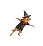 [アレンジ用]ハロウィンコスプレの犬4（個別スタンプ：8）