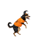 [アレンジ用]ハロウィンコスプレの犬4（個別スタンプ：12）