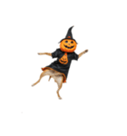 [アレンジ用]ハロウィンコスプレの犬4（個別スタンプ：14）