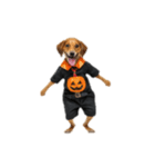 [アレンジ用]ハロウィンコスプレの犬3（個別スタンプ：11）