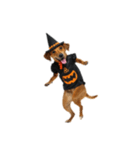 [アレンジ用]ハロウィンコスプレの犬1（個別スタンプ：2）