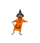 [アレンジ用]ハロウィンコスプレの犬1（個別スタンプ：4）