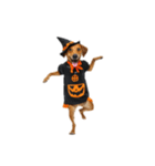 [アレンジ用]ハロウィンコスプレの犬1（個別スタンプ：5）