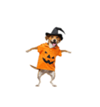 [アレンジ用]ハロウィンコスプレの犬1（個別スタンプ：6）