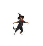 [アレンジ用]ハロウィンコスプレの犬1（個別スタンプ：13）