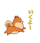 ポメラニアンと一緒の日常1（個別スタンプ：1）