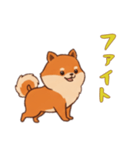 ポメラニアンと一緒の日常1（個別スタンプ：2）