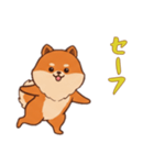 ポメラニアンと一緒の日常1（個別スタンプ：3）