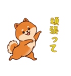 ポメラニアンと一緒の日常1（個別スタンプ：4）