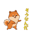 ポメラニアンと一緒の日常1（個別スタンプ：8）