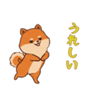 ポメラニアンと一緒の日常1（個別スタンプ：9）
