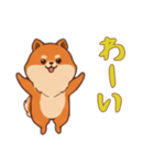 ポメラニアンと一緒の日常1（個別スタンプ：11）