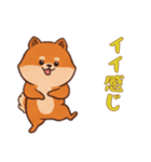 ポメラニアンと一緒の日常1（個別スタンプ：12）