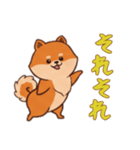 ポメラニアンと一緒の日常1（個別スタンプ：13）