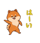 ポメラニアンと一緒の日常1（個別スタンプ：16）