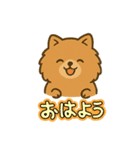 かわいいポメラニアン 日常（個別スタンプ：1）
