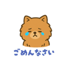 かわいいポメラニアン 日常（個別スタンプ：3）