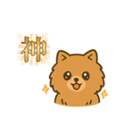 かわいいポメラニアン 日常（個別スタンプ：5）