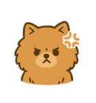 かわいいポメラニアン 日常（個別スタンプ：9）
