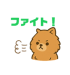 かわいいポメラニアン 日常（個別スタンプ：15）