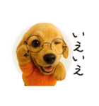 毎年使える♪ダックスの日常フレーズ（個別スタンプ：13）