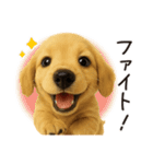 毎年使える♪ダックスの日常フレーズ（個別スタンプ：15）