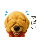 毎年使える♪ダックスの日常フレーズ（個別スタンプ：17）