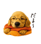 毎年使える♪ダックスの日常フレーズ（個別スタンプ：21）