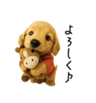 毎年使える♪ダックスの日常フレーズ（個別スタンプ：22）