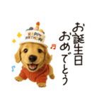 毎年使える♪ダックスの日常フレーズ（個別スタンプ：25）