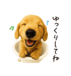 毎年使える♪ダックスの日常フレーズ（個別スタンプ：29）