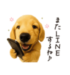 毎年使える♪ダックスの日常フレーズ（個別スタンプ：31）