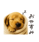 毎年使える♪ダックスの日常フレーズ（個別スタンプ：32）