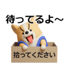 デカ動く 3D猛コーギー（個別スタンプ：1）